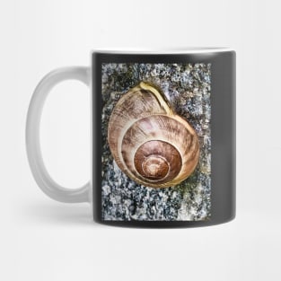 Garden Snail Mug